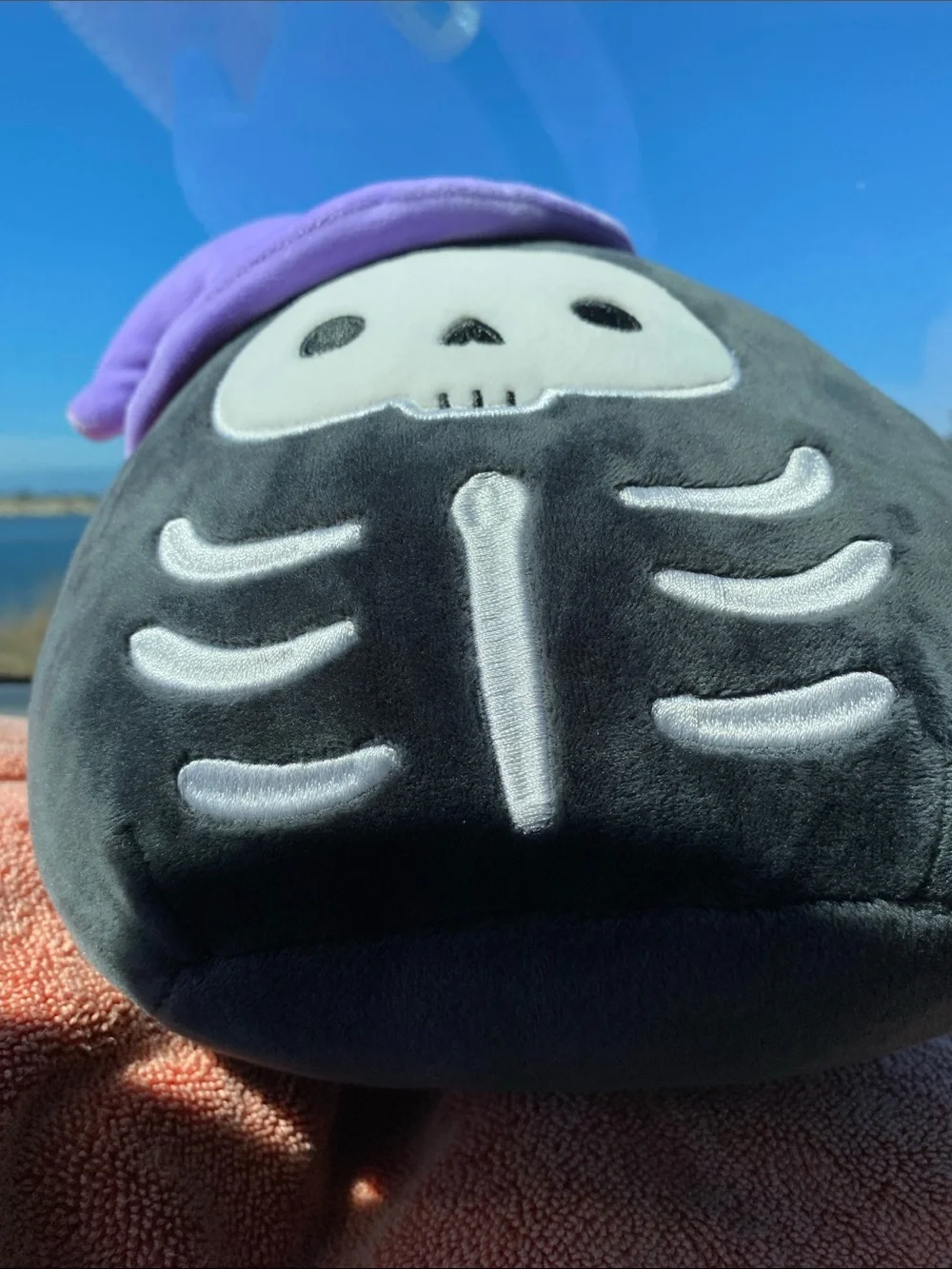 Squishmallows Black Skeleton Plush with Purple Witch Hat Org Tag